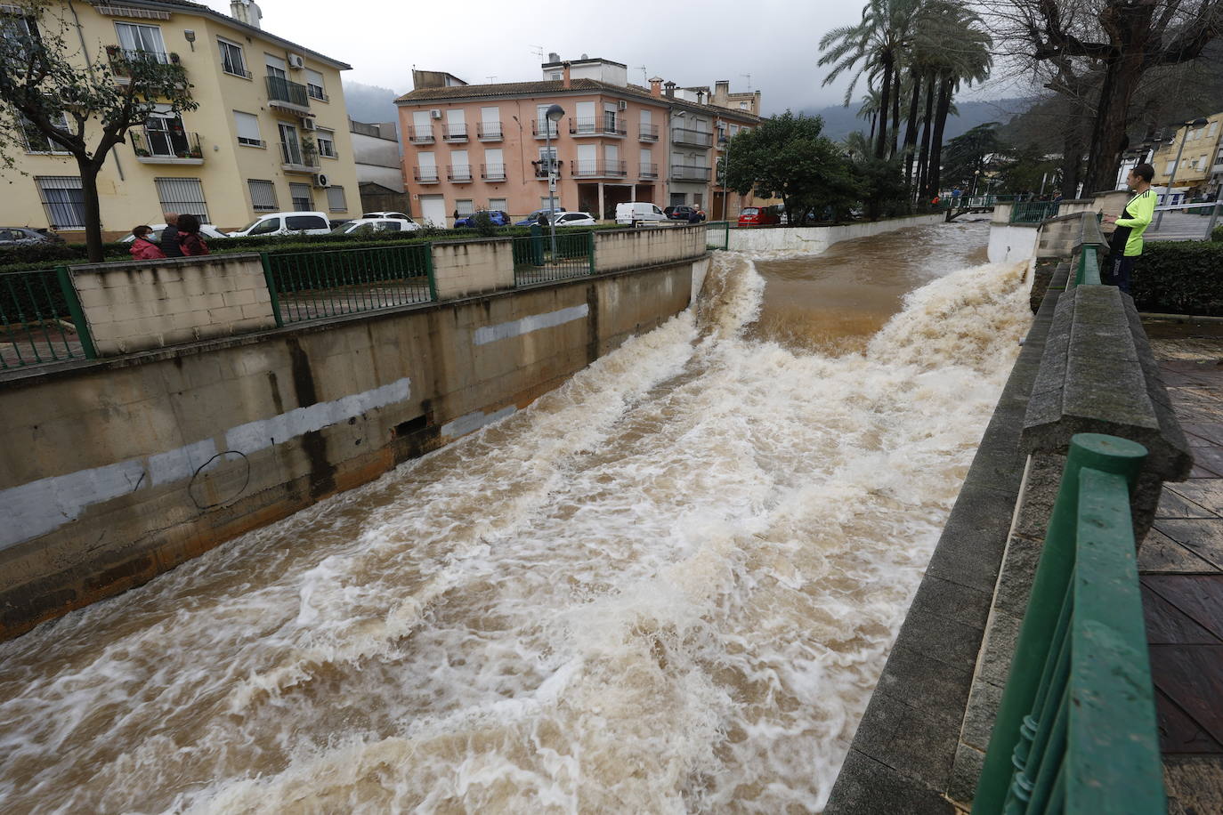 Tras nueve días consecutivos de lluvia, el río Vaca, a su paso por Simat de Valldigna, se ha desbordado. 