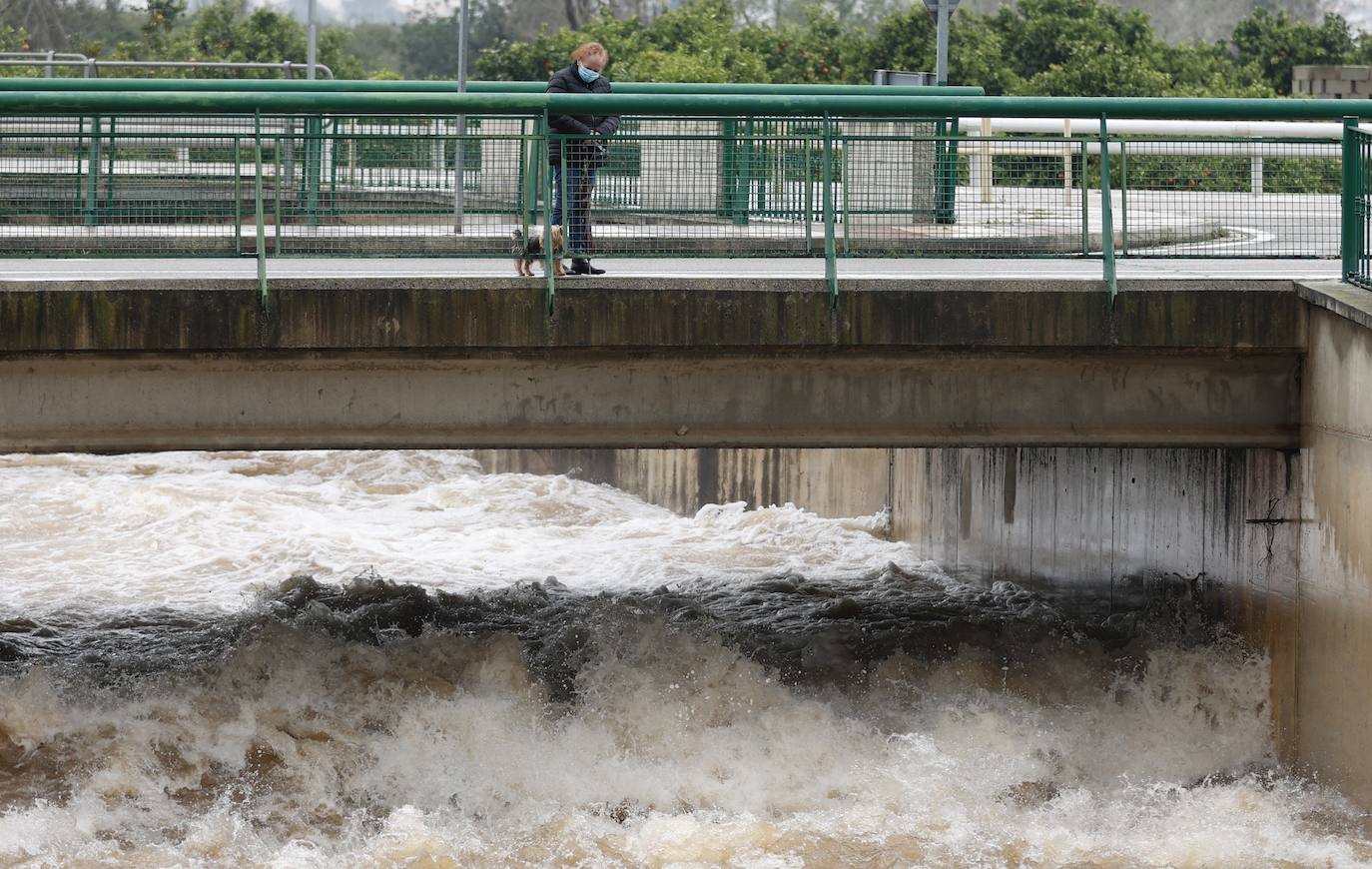 Tras nueve días consecutivos de lluvia, el río Vaca, a su paso por Simat de Valldigna, se ha desbordado. 