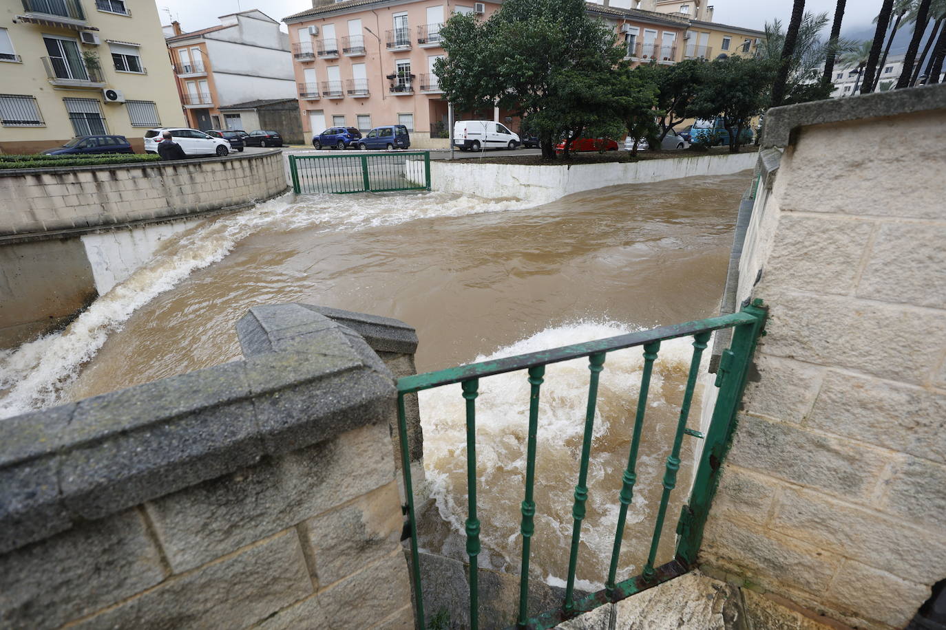 Tras nueve días consecutivos de lluvia, el río Vaca, a su paso por Simat de Valldigna, se ha desbordado. 