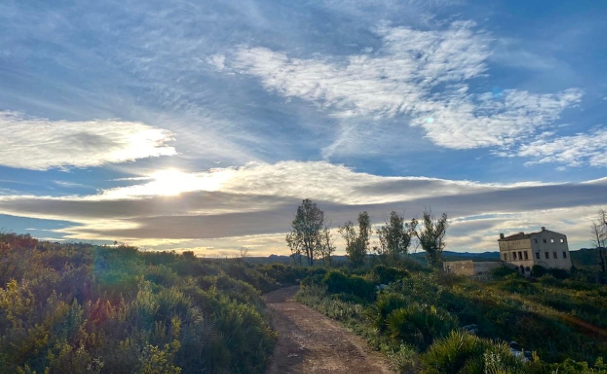 Zona de El Realenc en Carcaixent. 