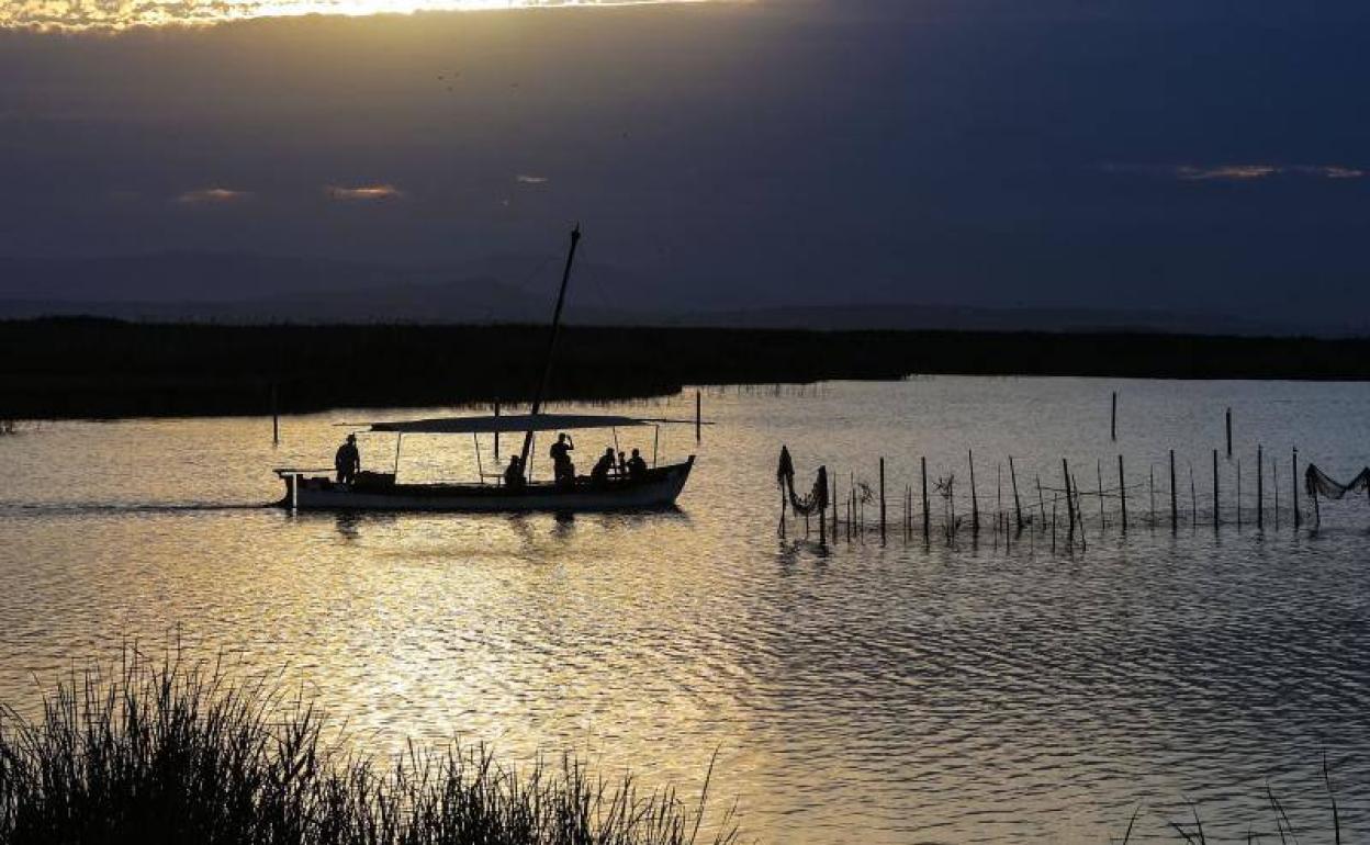 Barca de paseo en el lago de la Albufera. 