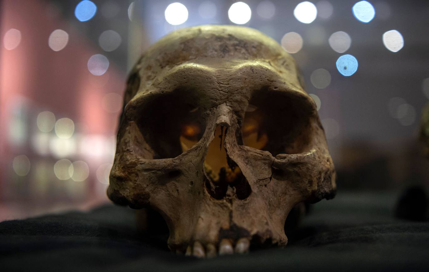 Fotos: Las momias más antiguas del mundo, al descubierto