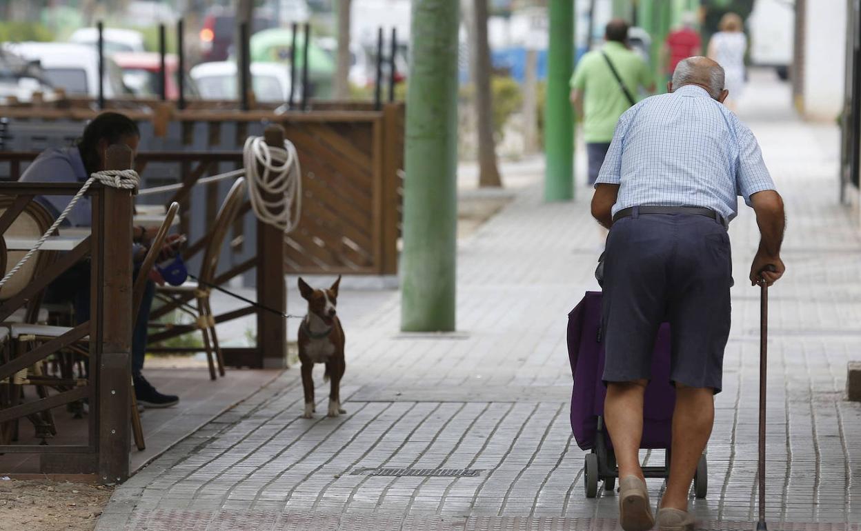 Pensiones y jubilación | Las pensiones que puedes recibir si no has cotizado 15 años