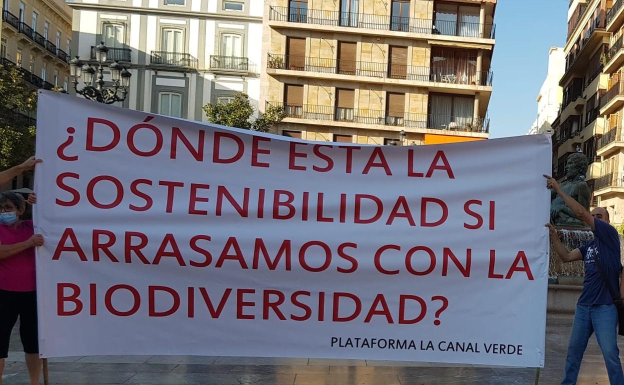 La Plataforma la Canal Verde en una de las concentraciones en la Plaza de la Virgen de Valencia. 