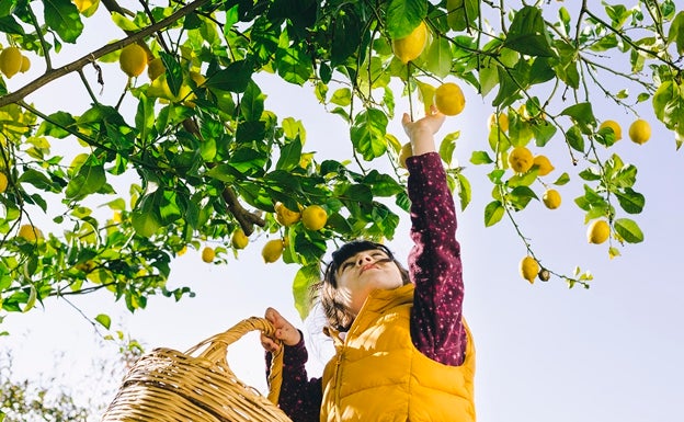 'Climas para el Cambio' busca inspirar un ambiente de concienciación y cooperación en diversos ámbitos de la sociedad valenciana. 