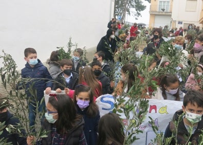 Imagen secundaria 1 - Procesiones del Domingo de Ramos de Alzira, Turís y Benifaió. 