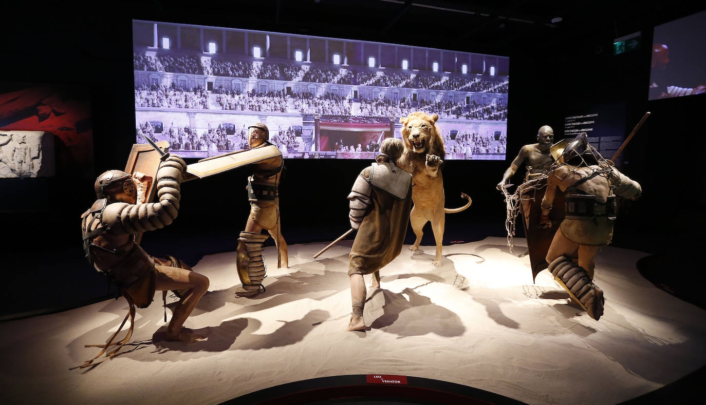 Fotos: El MARQ descubre el mundo de los gladiadores con una exposición inédita en España