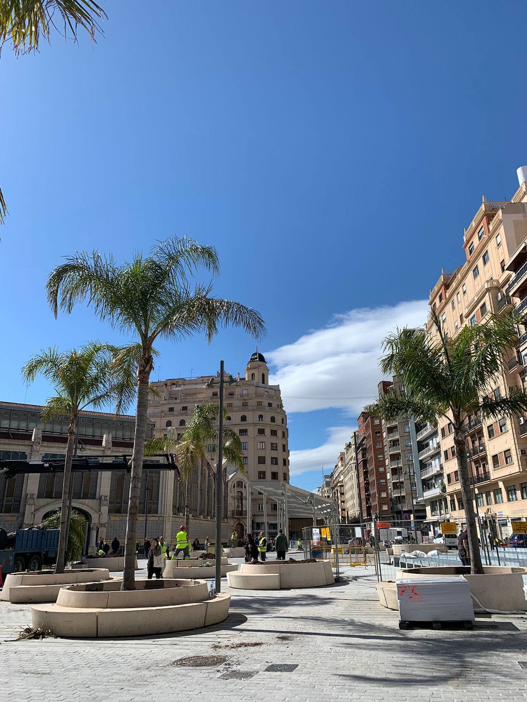 Imagen principal - Árboles en Valencia | Palmeras en la plaza Ciudad de Brujas