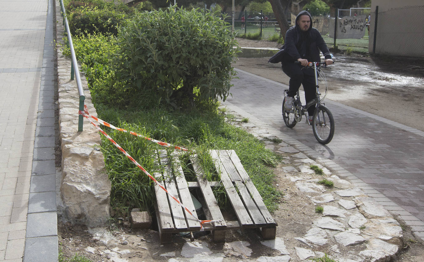 Fotos: El deterioro del Jardín del Turia de Valencia