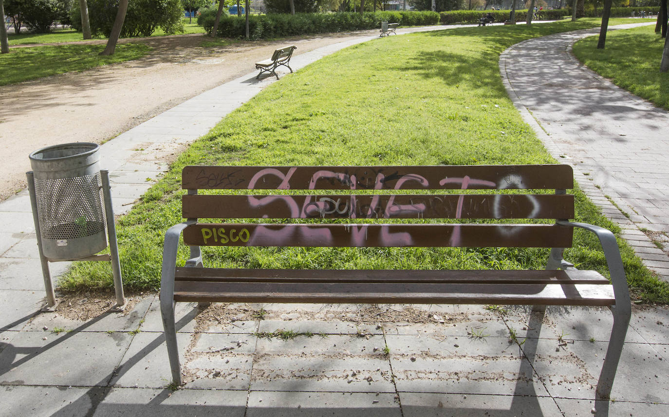 Fotos: El deterioro del Jardín del Turia de Valencia