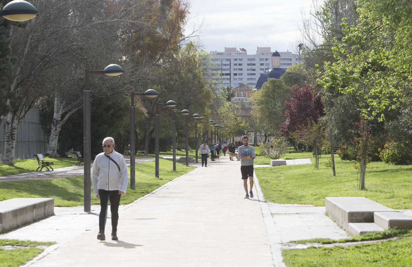 Fotos: El deterioro del Jardín del Turia de Valencia