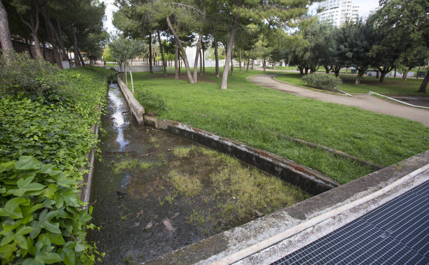 Fotos: El deterioro del Jardín del Turia de Valencia