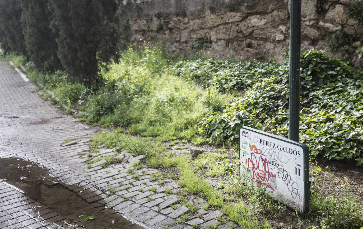 Fotos: El deterioro del Jardín del Turia de Valencia