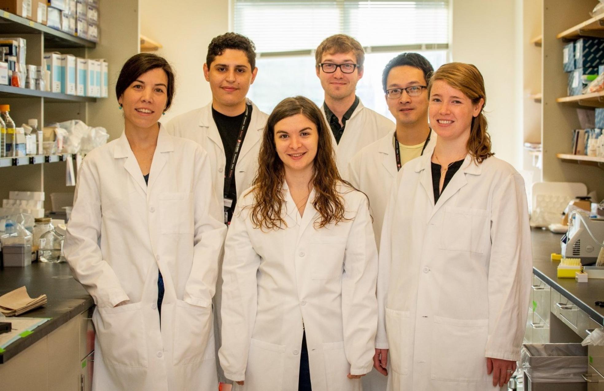 Equipo de investigación.
La biotecnóloga valenciana,
en el centro, posa junto a sus
compañeros en el laboratorio de
la Universidad de Harvard. lp