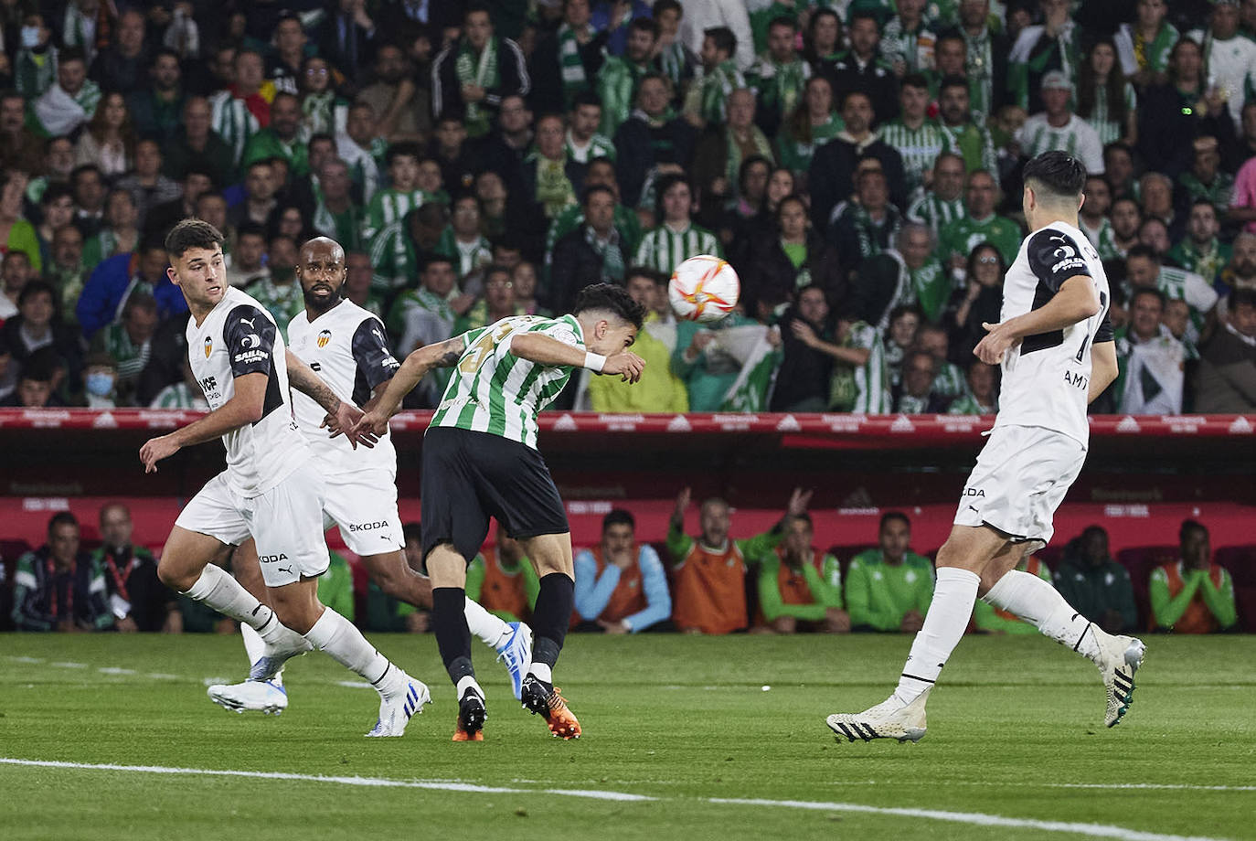 Fotos: Las mejores imágenes de la final de la Copa del Rey: Real Betis-Valencia CF