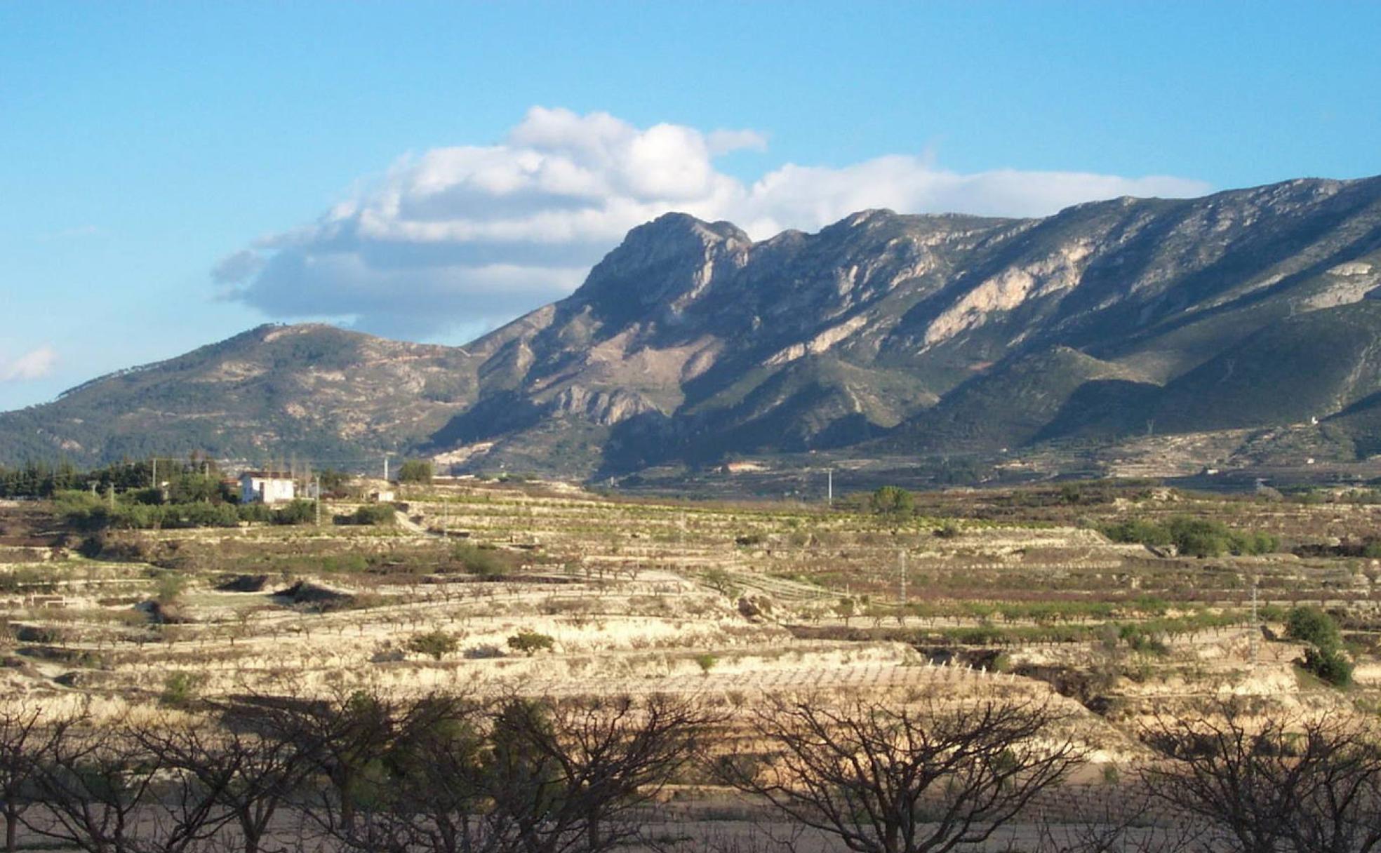 Pico de la Sierra de Benicadell, un paraje espectacular para disfrutar al trote en la Comunitat. 