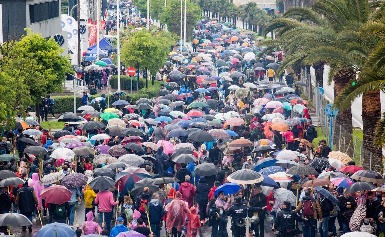 Miles de peregrinos se dirigen al caserío de la Santa Faz este jueves en Alicante. 