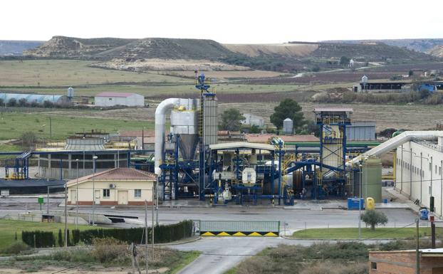 Imagen principal - Alcarràs | Dónde está Alcarràs, el pueblo de 9.000 vecinos con una vida de película