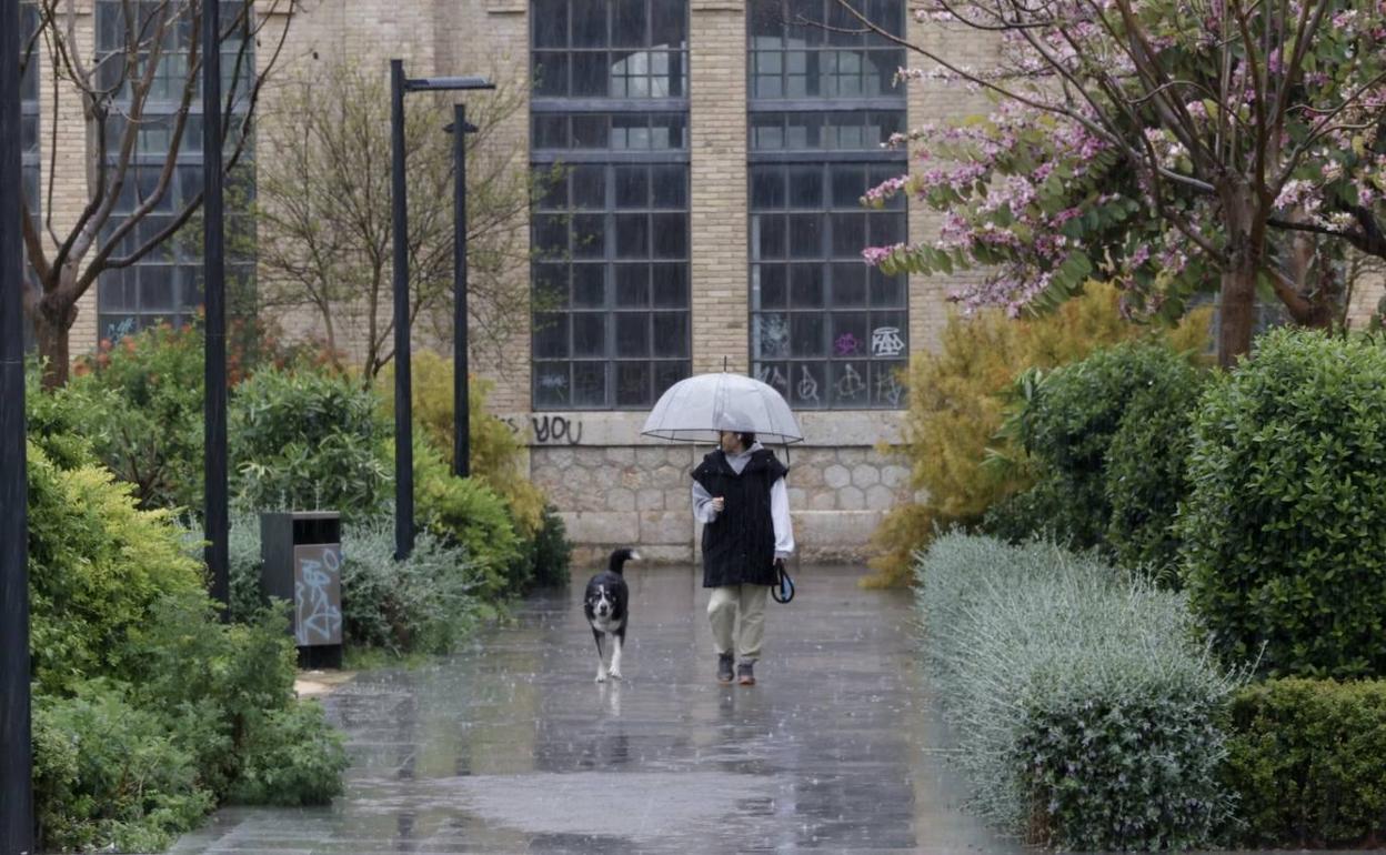 El tiempo hoy en Valencia | El Ayuntamiento de Valencia reabre los parques tras el paso de la tormenta