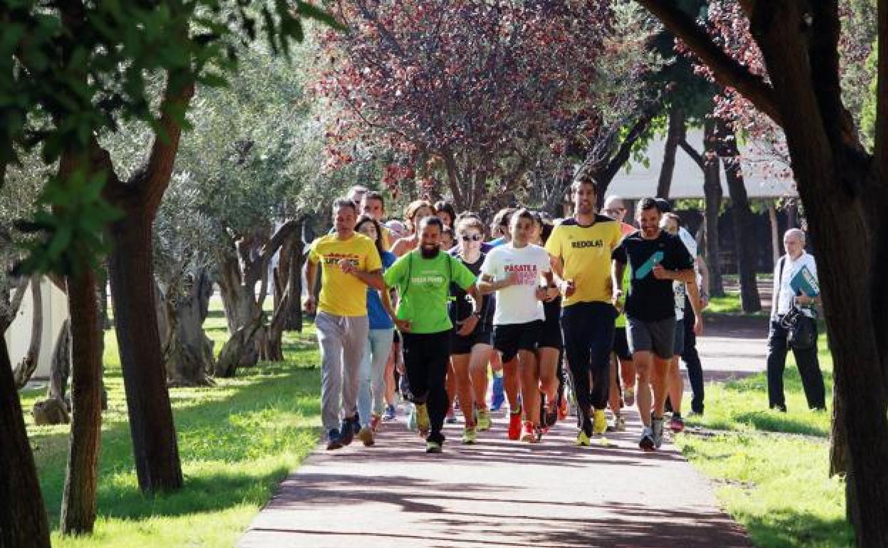 Wings for Life World Run Valencia | La carrera más grande del mundo se celebra en Valencia