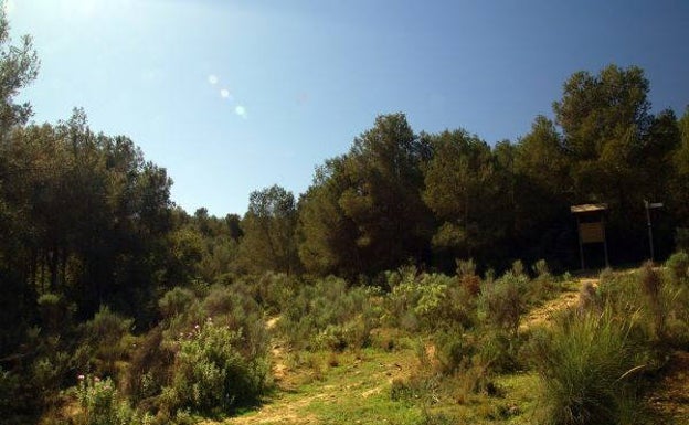 Imagen principal - Rutas en Valencia | Una mirada a la huerta valenciana desde la Sierra Perenxisa