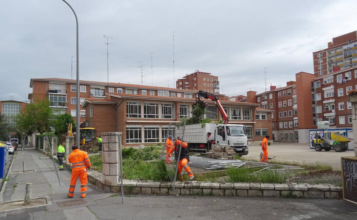 Varios trabajadores realizan tareas de mantenimiento. 