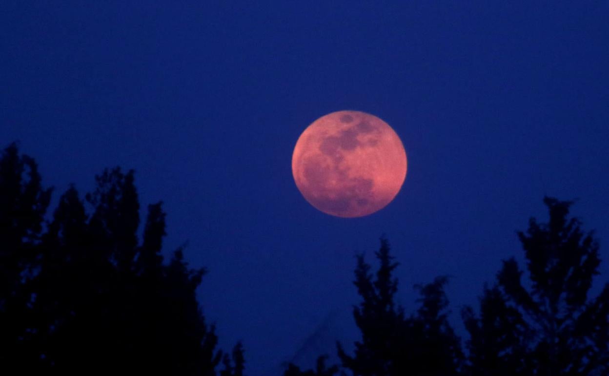 Luna de Sangre