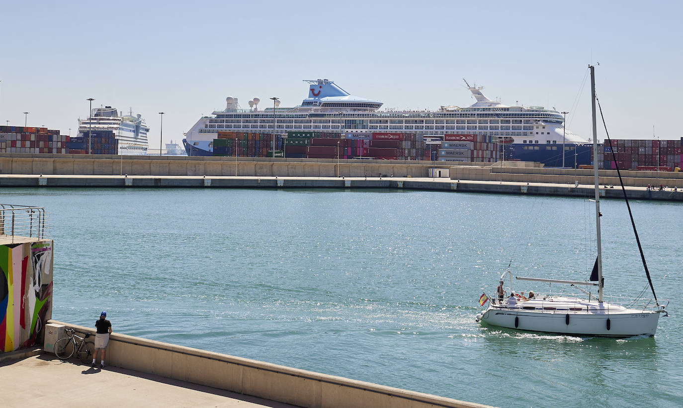 Fotos: Los cruceristas toman el centro de Valencia