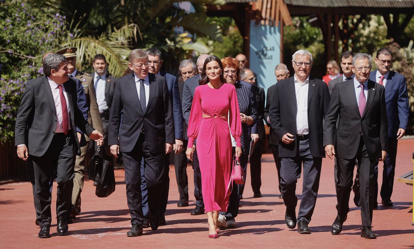 Fotos: La reina Letizia entrega las condecoraciones de Cruz Roja en Valencia