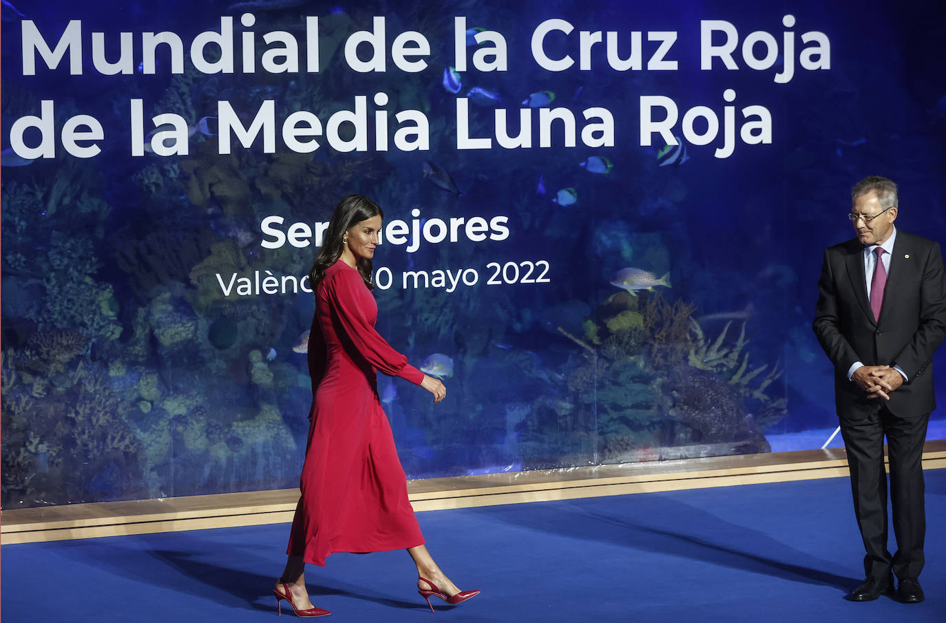 Fotos: La reina Letizia entrega las condecoraciones de Cruz Roja en Valencia