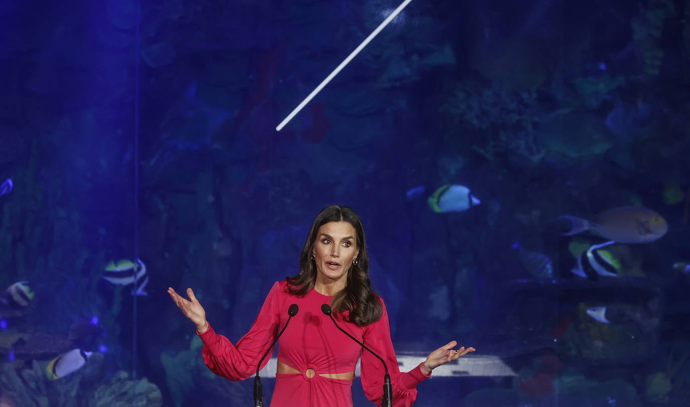 Fotos: La reina Letizia entrega las condecoraciones de Cruz Roja en Valencia