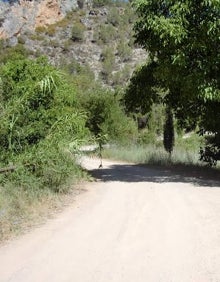 Imagen secundaria 2 - Rutas por Valencia | Barranco Palomarejas: una divertida ruta a pie... y a nado