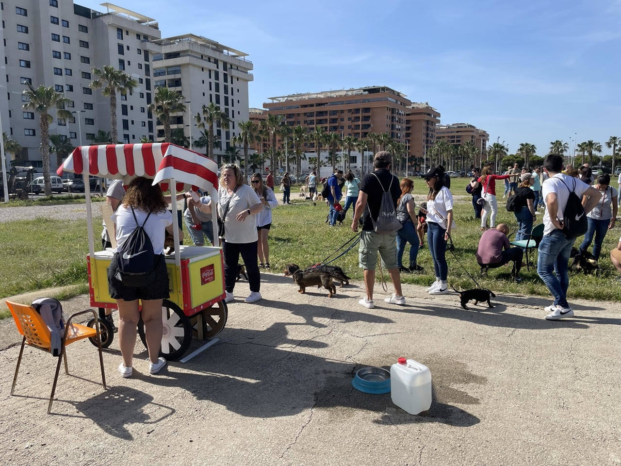 Quedada perruna de este domingo.