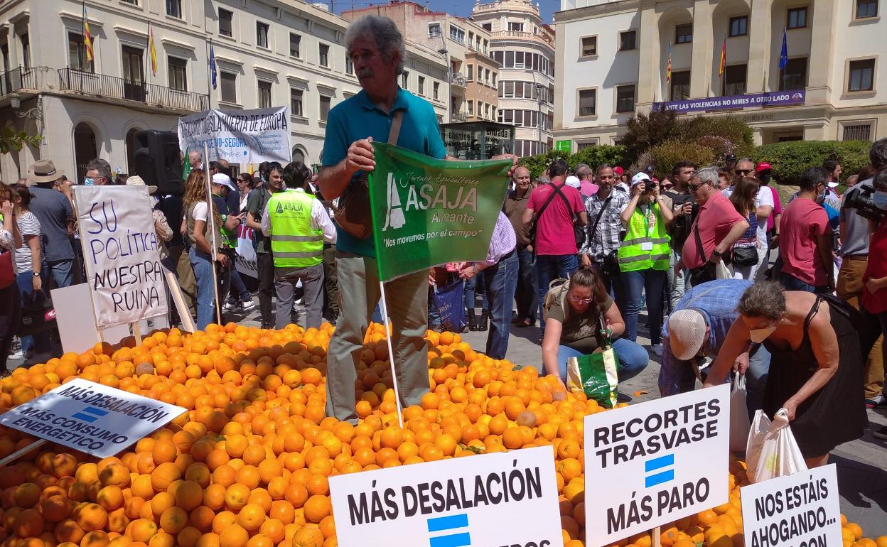 Durante la concentración se repartieron toneladas de naranjas a modo de protesta. 