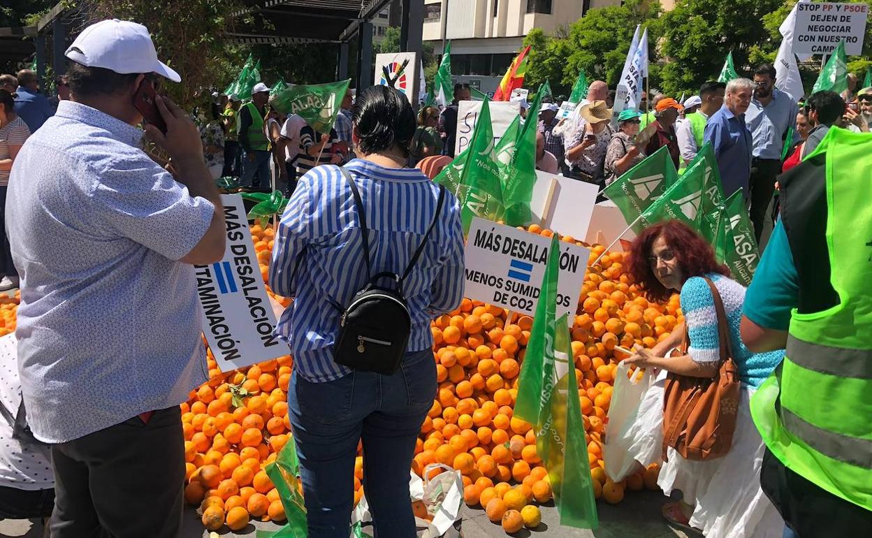 Asaja ha repartido ocho toneladas de naranjas en señal de protesta. 