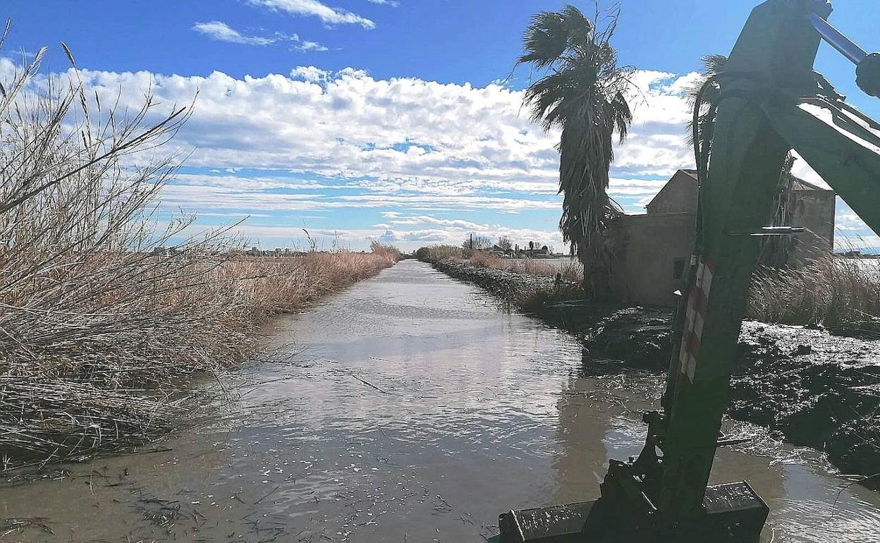 Albufera | El Ayuntamiento de Valencia triplica el presupuesto para dragar la Albufera y sus canales