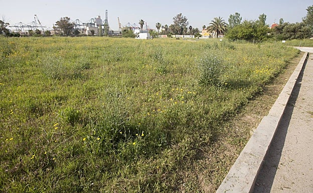 Imagen principal - Maleza en el parque de Nazaret, un operario desbrozando la zona y mesa de picnic sin sombraje alguno. 
