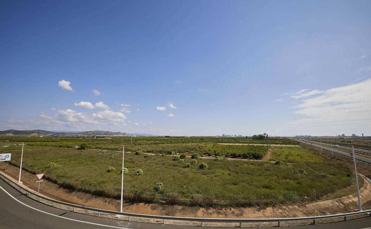 Terrenos donde se ubicará la planta de Volkswagen. 