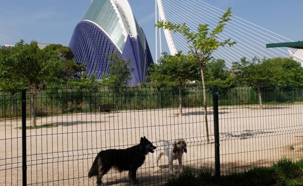 Cauce del río Turia de Valencia | Los mejores rincones del Jardín del Turia para perros