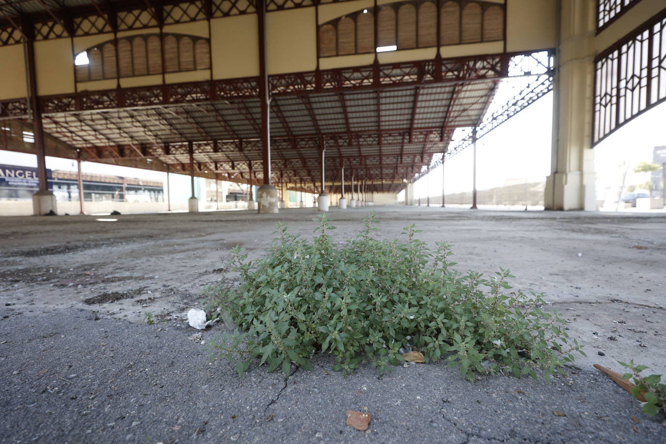 Fotos: Desperfectos y falta de mantenimiento en La Marina de Valencia