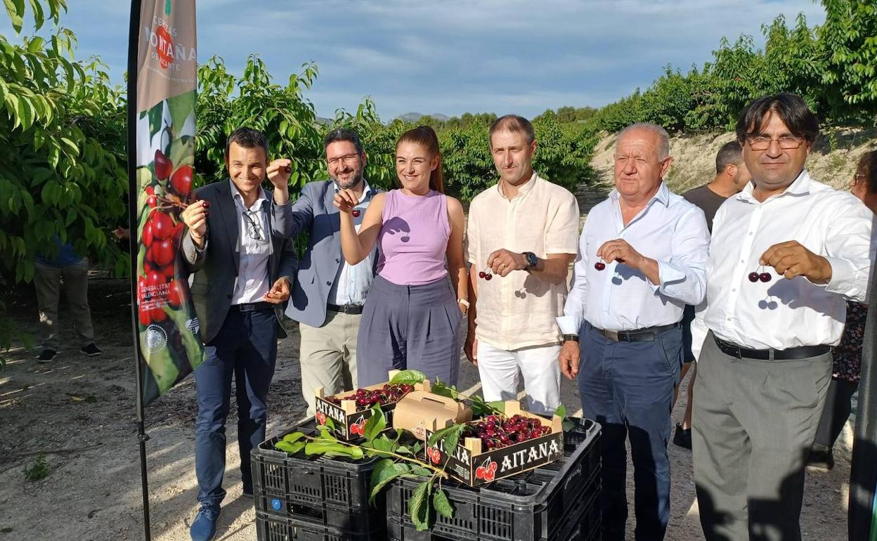 La consellera de Agricultura y el resto de autoridades, en el primer corte de la cereza. 