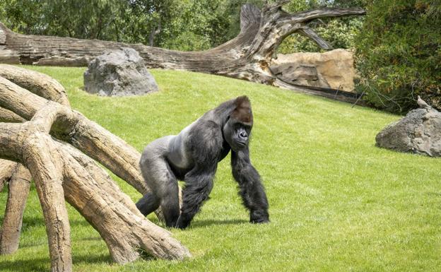 BIOPARC Valencia impulsa el compromiso colectivo por «Una sola Tierra»