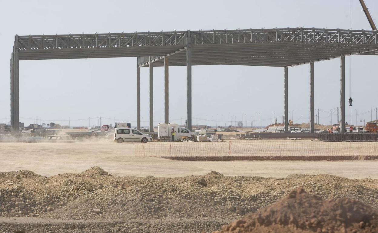 Obras en terrenos de la primera fase de Parc Sagunt. 