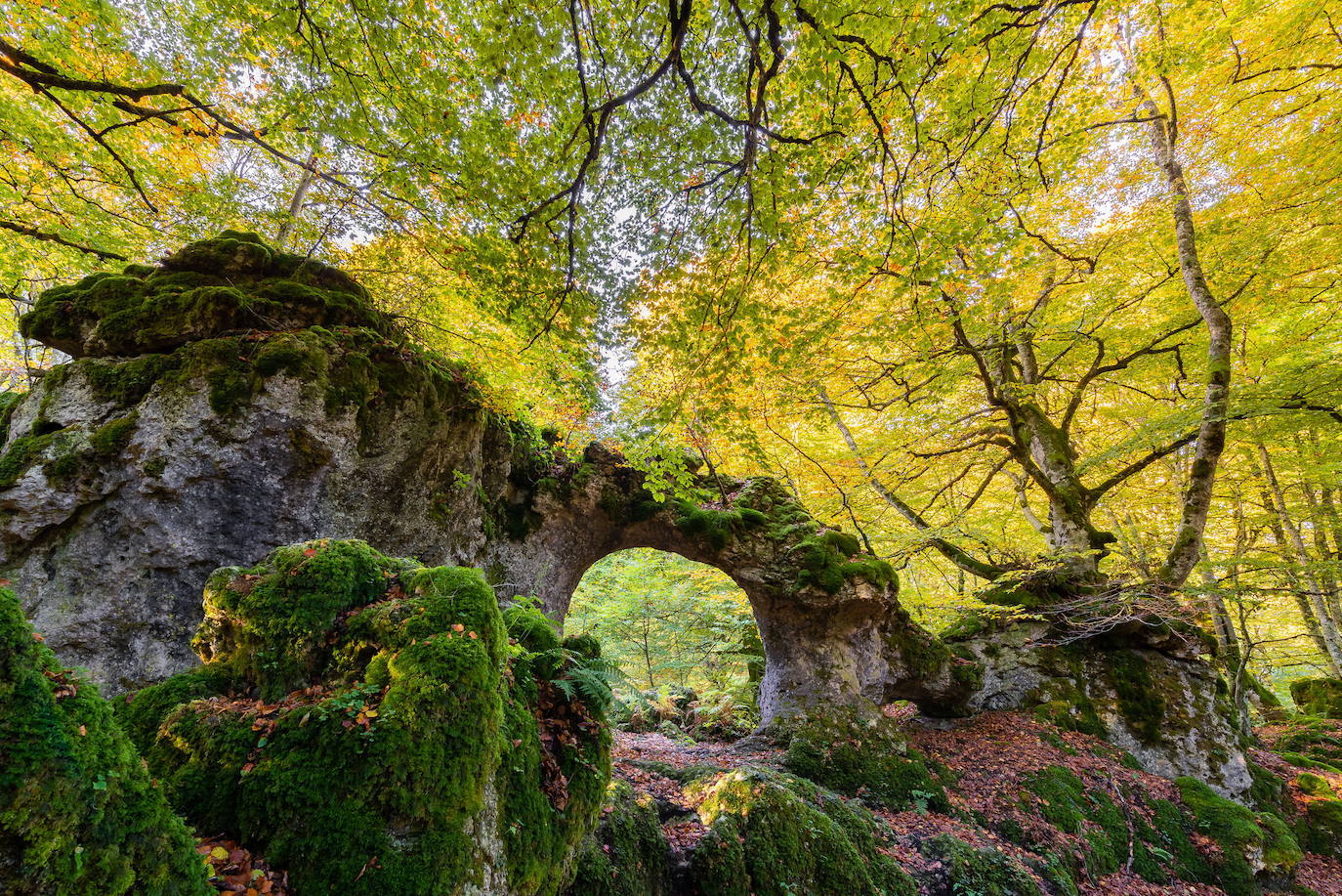 Arco de Zalamportillo, Álava