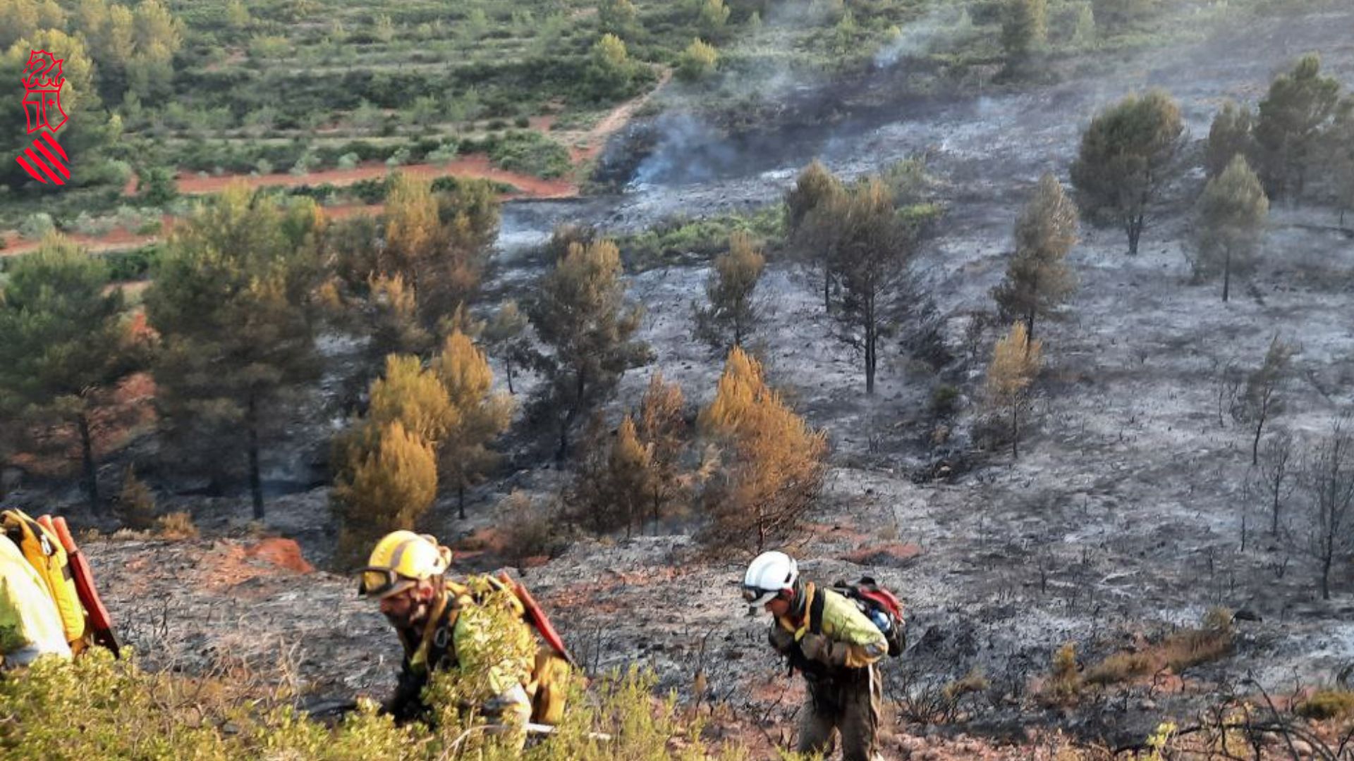 Fotos: Declarado un incendio en Viver y Caudiel