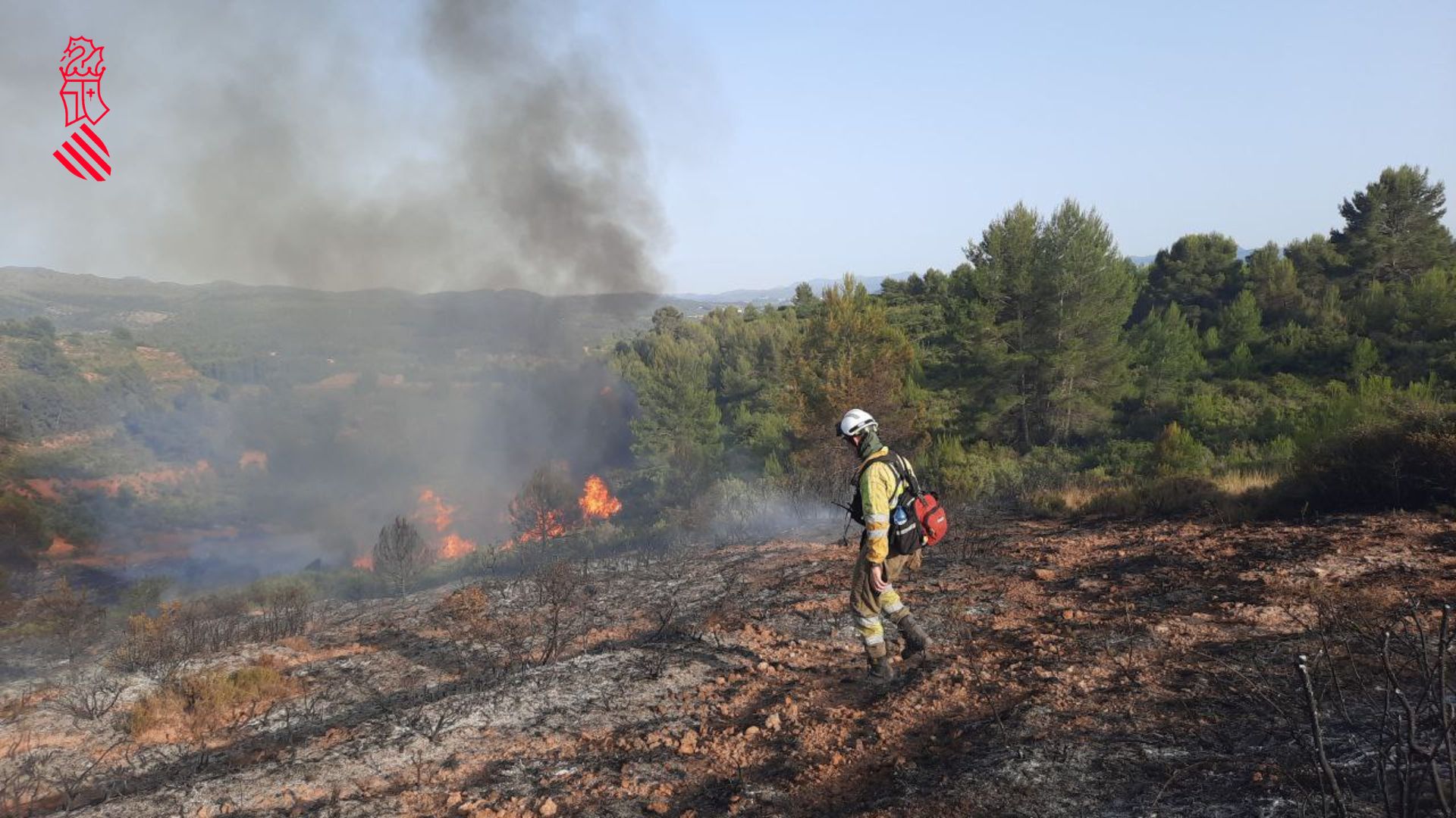 Fotos: Declarado un incendio en Viver y Caudiel