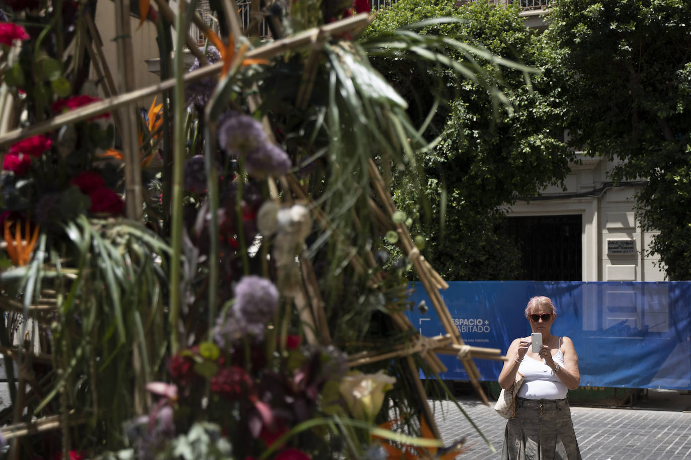 Fotos: El casco antiguo de Valencia se cubre de flores