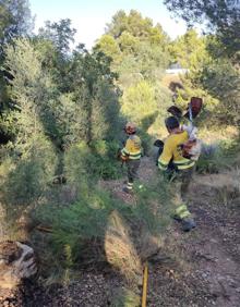 Imagen secundaria 2 - fuego en Masía de Traver | Un incendio forestal obliga a evacuar a vecinos en Riba-roja de Túria Valencia