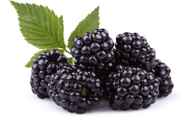 Moras.