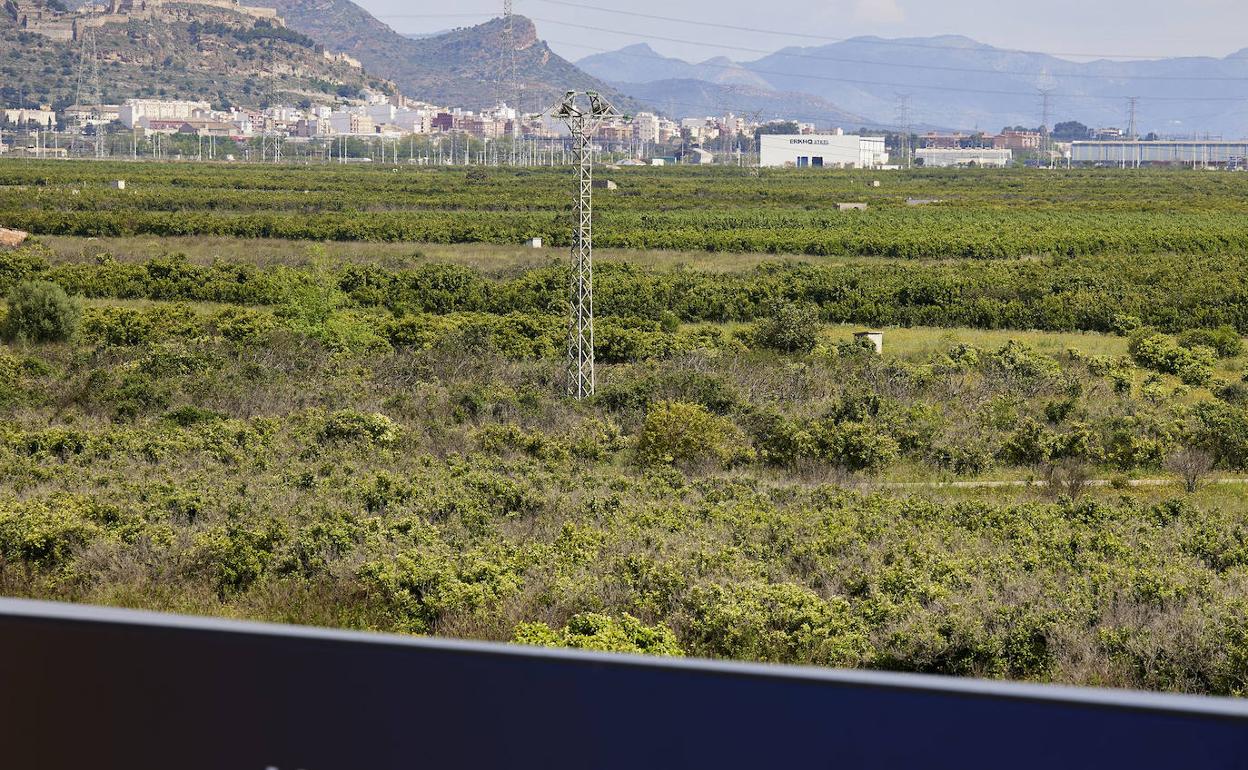 Terrenos en los que se levantará la gigafactoría de Volkswagen. 